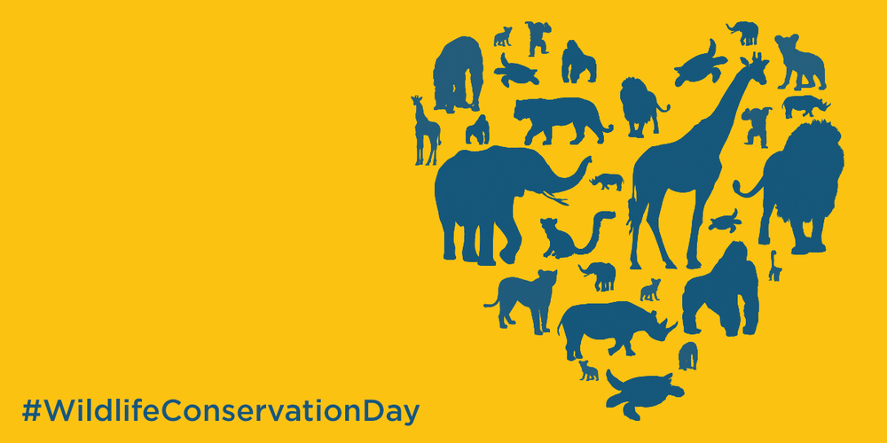 Animal day. Логотип с темой животные. World Wildlife Day. World Conservation Day.