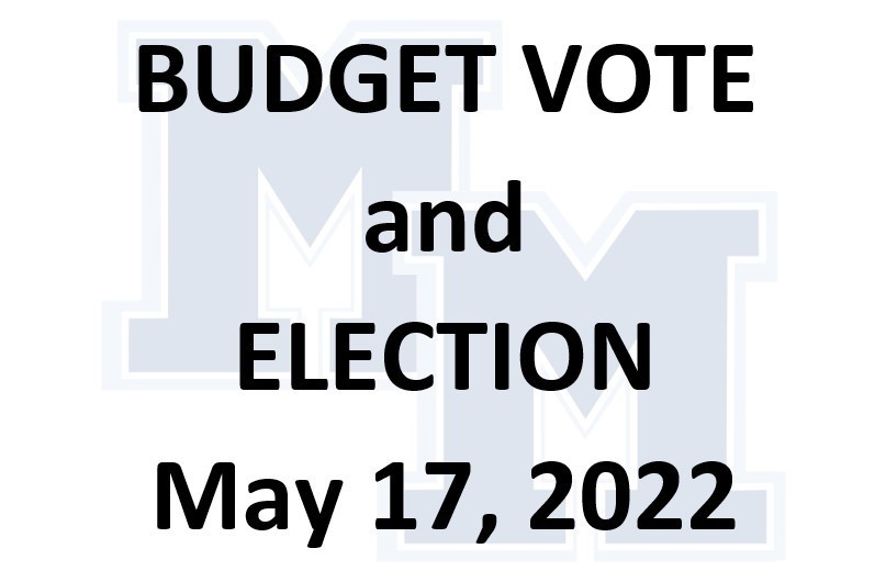 Budget Vote and Election Graphic